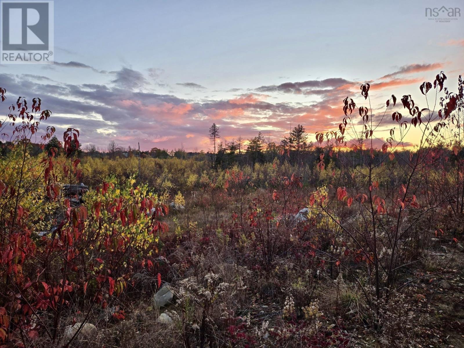 218 Garber Road, Newcombville, Nova Scotia  B4V 7Y4 - Photo 37 - 202604337