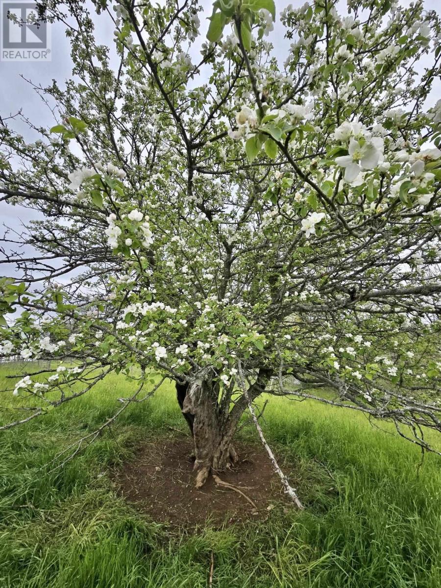 218 Garber Road, Newcombville, Nova Scotia  B4V 7Y4 - Photo 35 - 202604338
