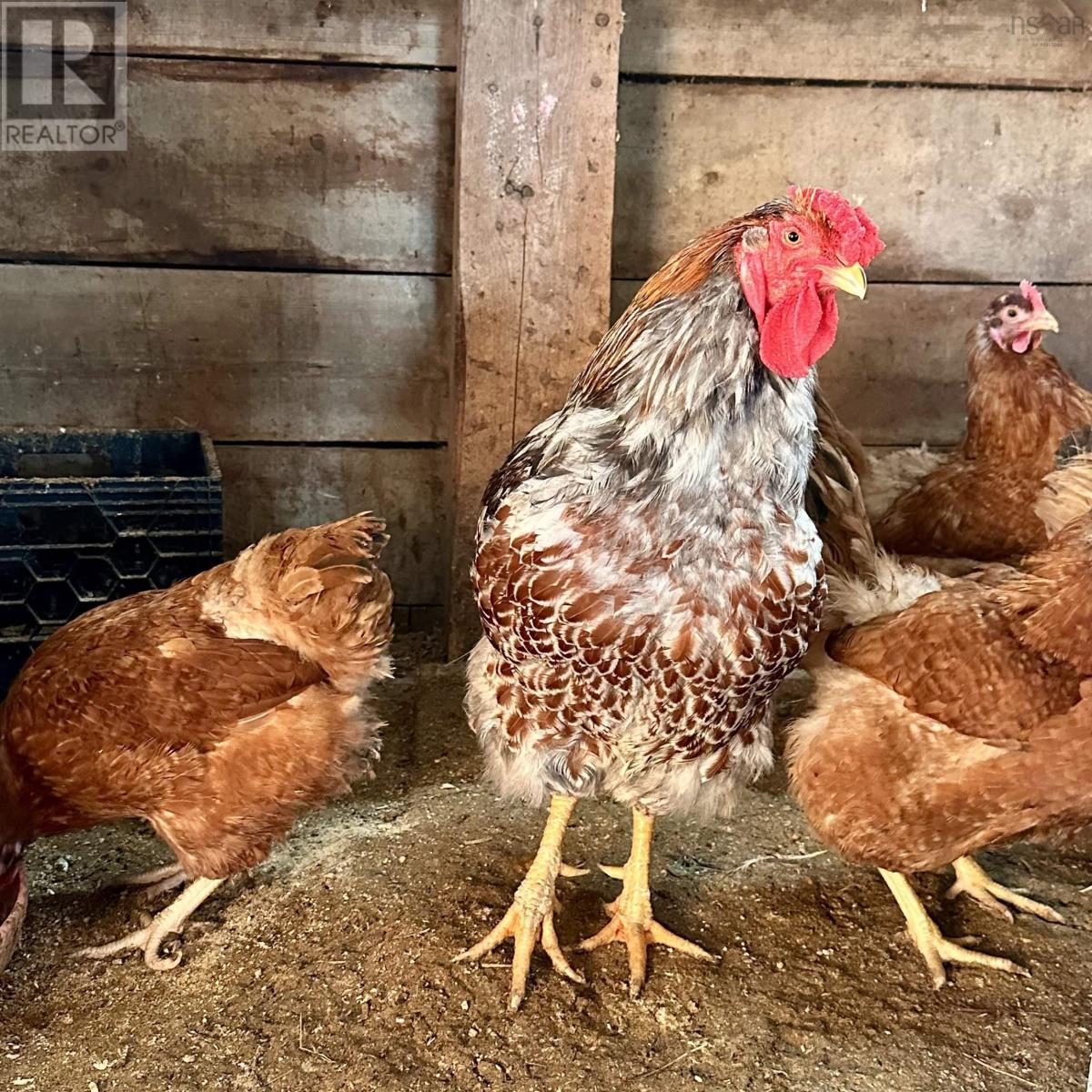 218 Garber Road, Newcombville, Nova Scotia  B4V 7Y4 - Photo 43 - 202604338