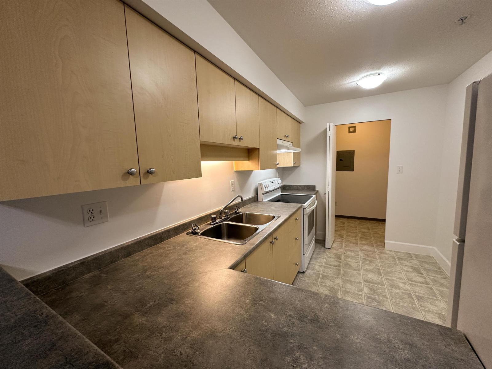 217 20454 53 Avenue, Langley, British Columbia  V3A 7S1 - Photo 9 - R3098587