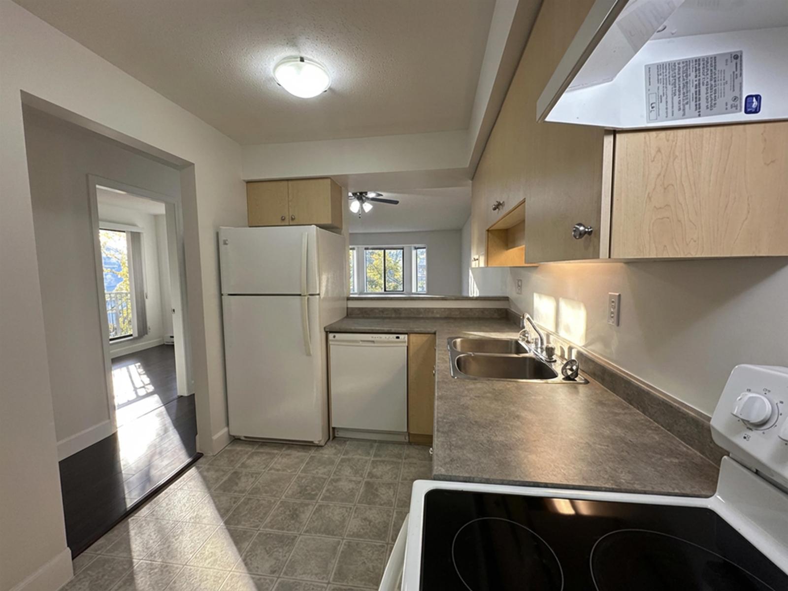 217 20454 53 Avenue, Langley, British Columbia  V3A 7S1 - Photo 11 - R3098587