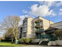 217 20454 53 AVENUE, Langley, British Columbia