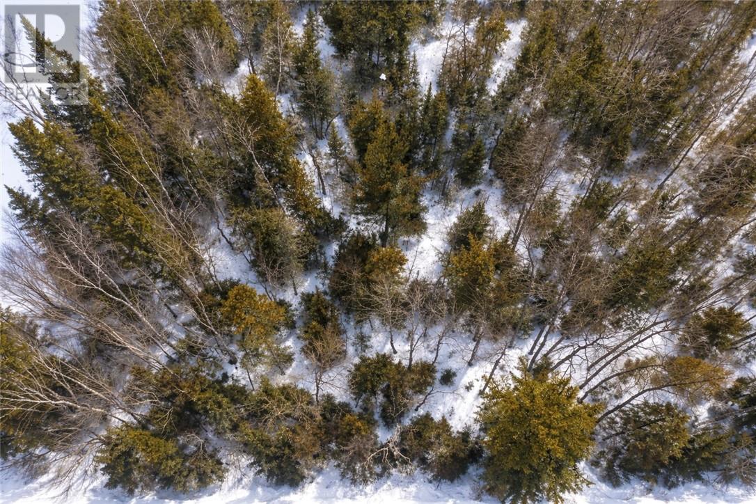 Pt 3 Norland, Verner, Ontario  P0H 2M0 - Photo 13 - 2126763