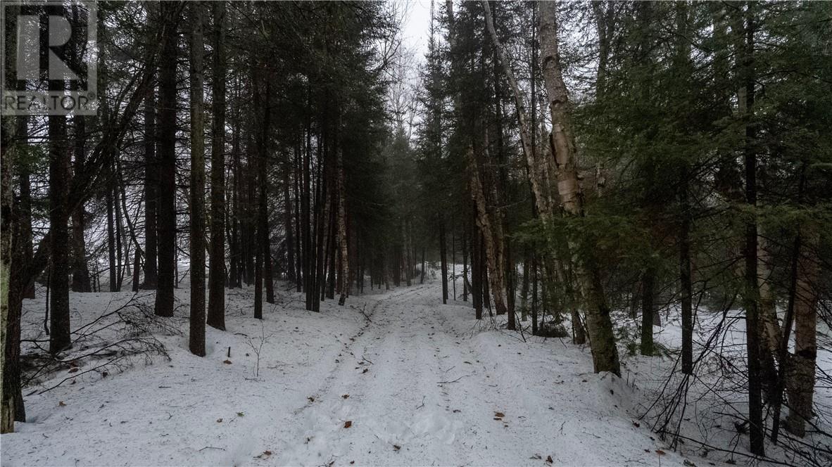 Pt 3 Norland, Verner, Ontario  P0H 2M0 - Photo 2 - 2126763