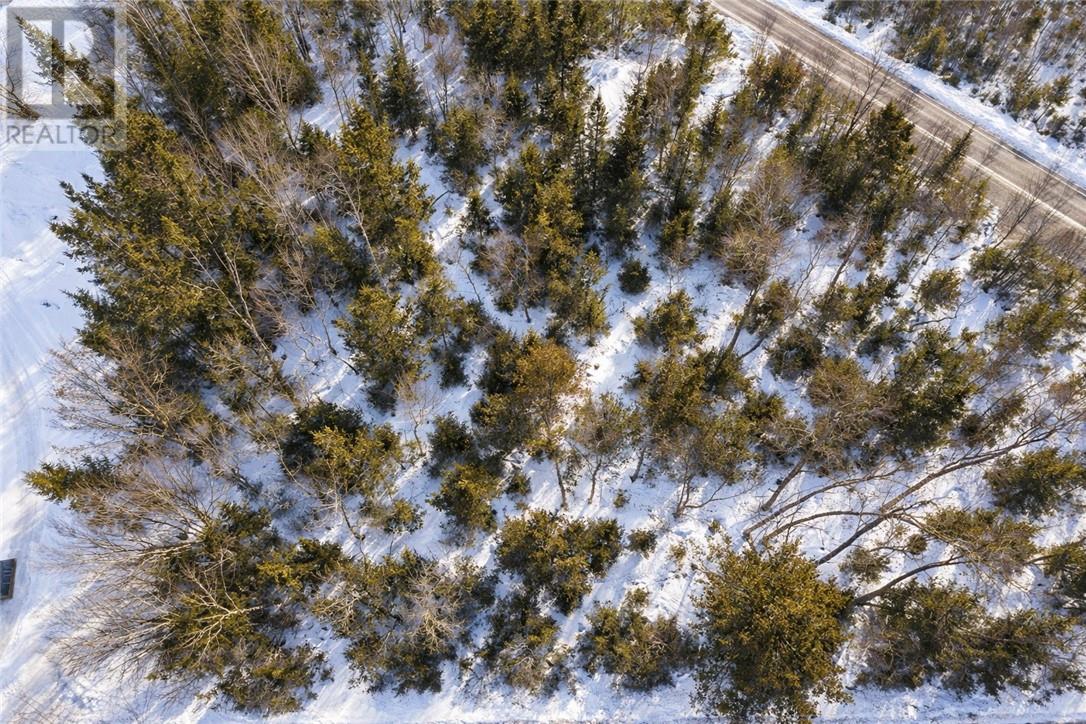 Pt 4 Norland, verner, Ontario