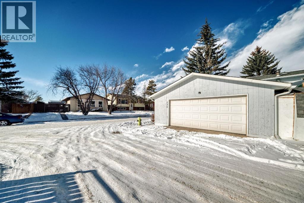 236 Pinecliff Way Ne, Calgary, Alberta  T1Y 3X3 - Photo 15 - A2285050