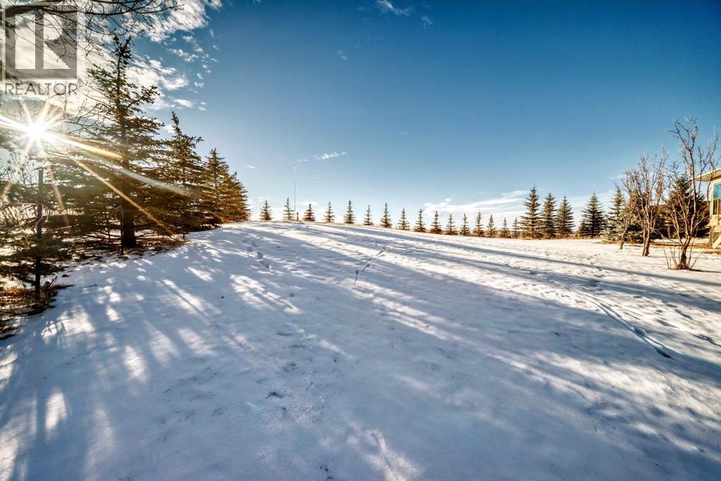 39 Stage Coach Trail, Rural Rocky View County, Alberta  T4A 0P4 - Photo 44 - A2286699