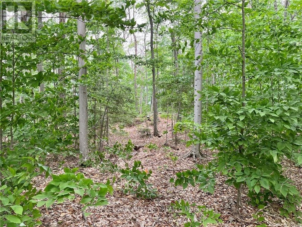 131 Shady Maple Road, Mcnab/braeside, Ontario  K0J 1G0 - Photo 27 - X12873624