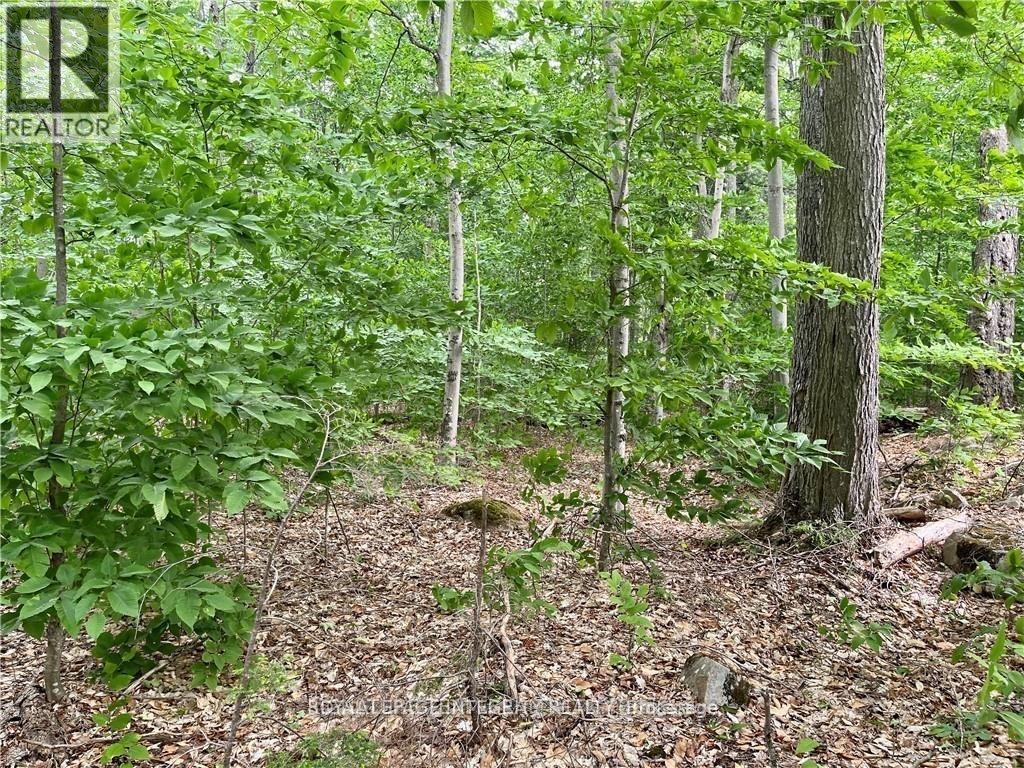 131 Shady Maple Road, Mcnab/braeside, Ontario  K0J 1G0 - Photo 28 - X12873624