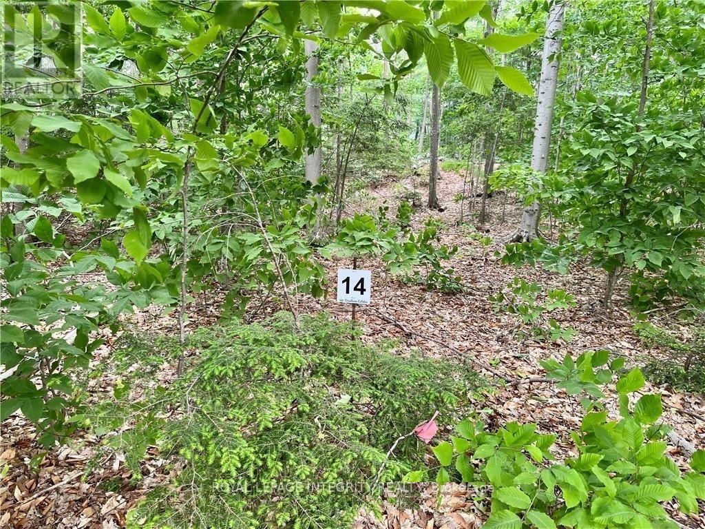 131 Shady Maple Road, Mcnab/braeside, Ontario  K0J 1G0 - Photo 29 - X12873624