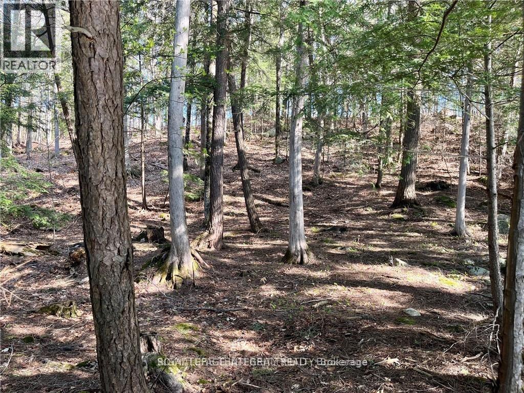 131 Shady Maple Road, Mcnab/braeside, Ontario  K0J 1G0 - Photo 30 - X12873624