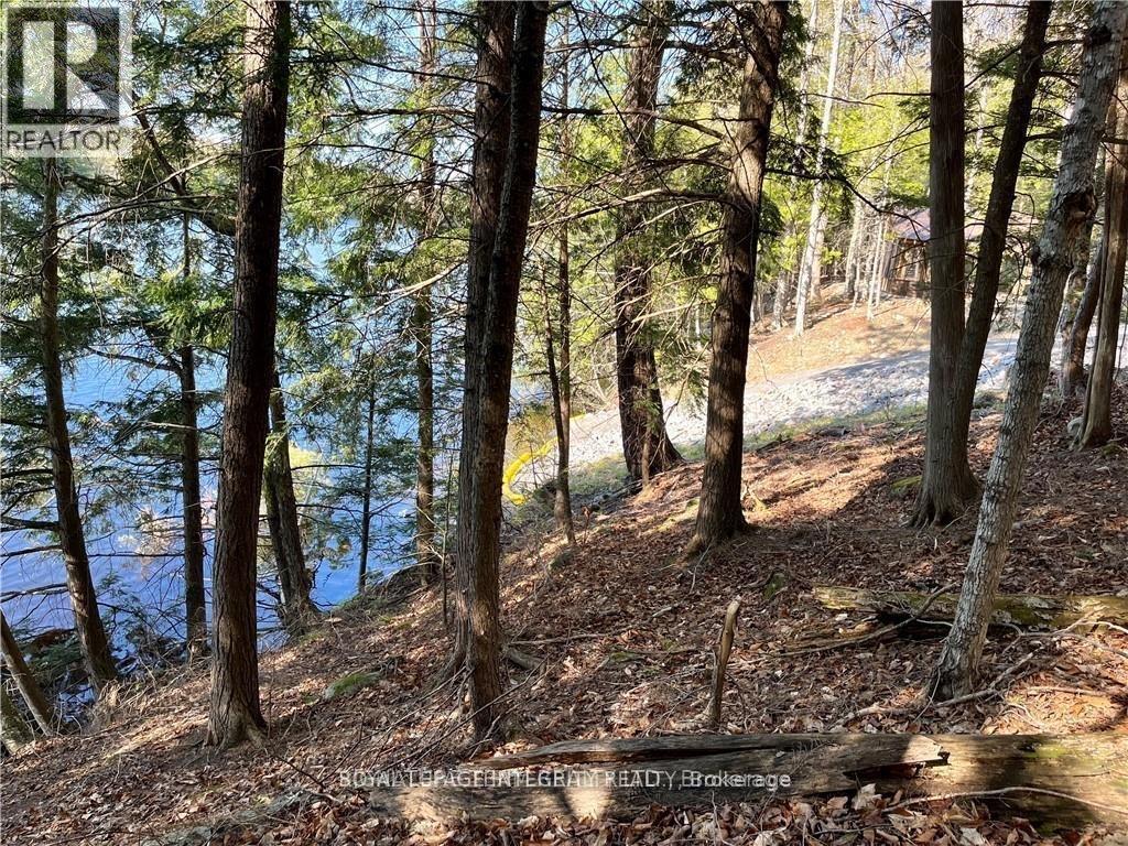 131 Shady Maple Road, Mcnab/braeside, Ontario  K0J 1G0 - Photo 31 - X12873624