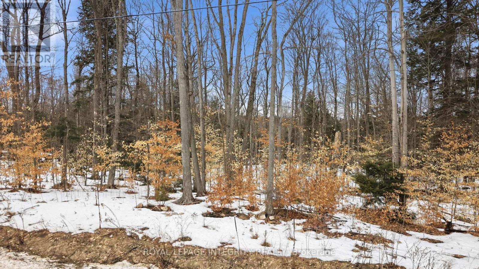 131 Shady Maple Road, Mcnab/braeside, Ontario  K0J 1G0 - Photo 5 - X12873624