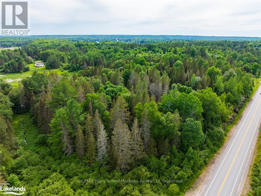 7281a Highway 124, Magnetawan, Ontario  P0G 1G0 - Photo 22 - X12873646
