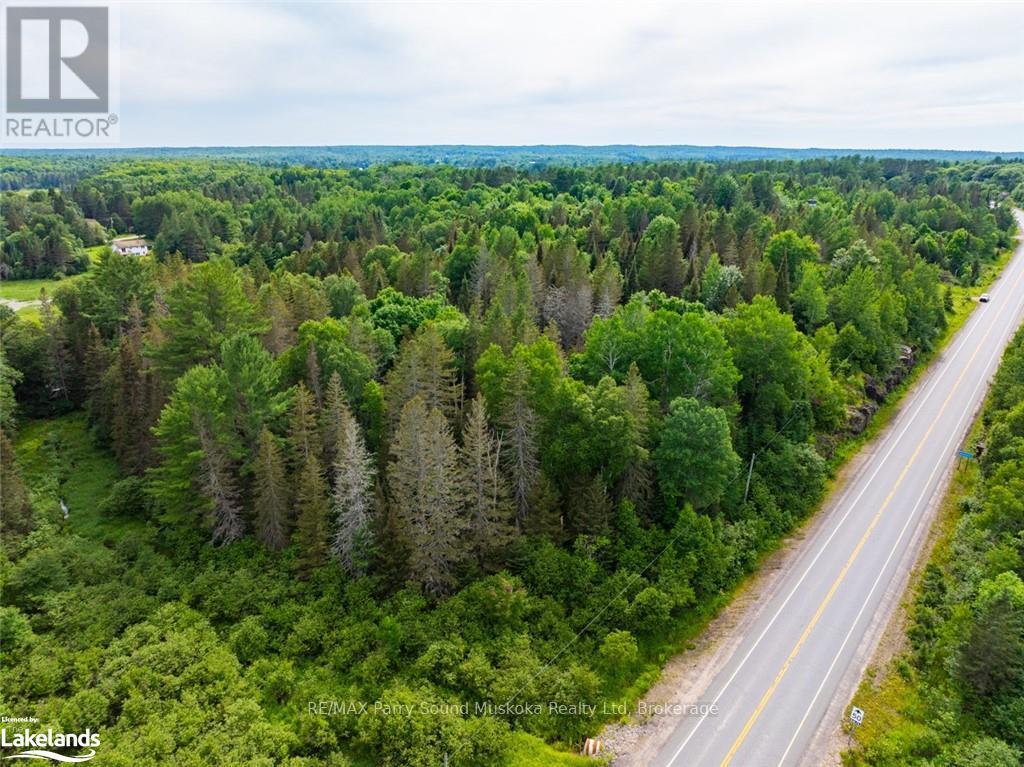 7281a Highway 124, Magnetawan, Ontario  P0G 1G0 - Photo 23 - X12873646