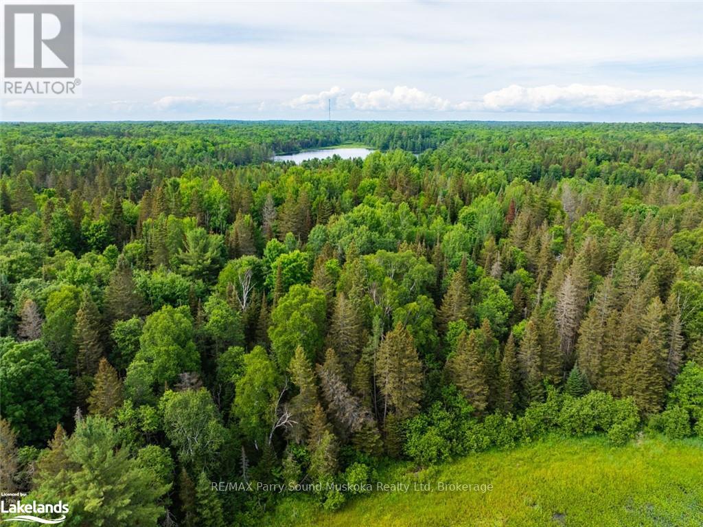 7281 Highway 124, Magnetawan, Ontario  P0G 1G0 - Photo 20 - X12873650