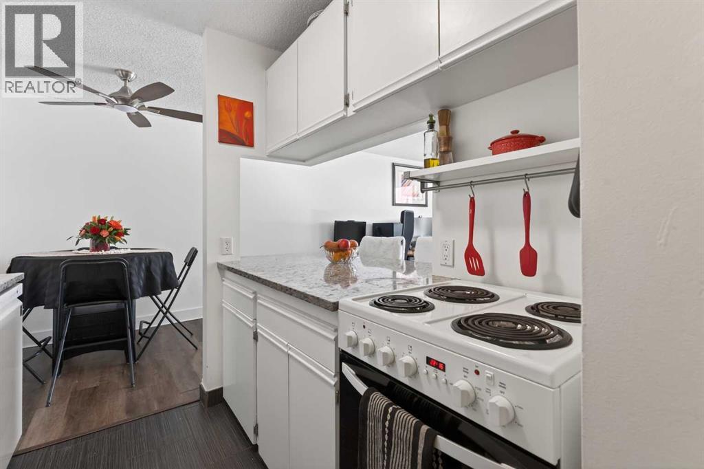233, 1421 7 Avenue Nw, Calgary, Alberta  T2M 3M5 - Photo 11 - A2286787