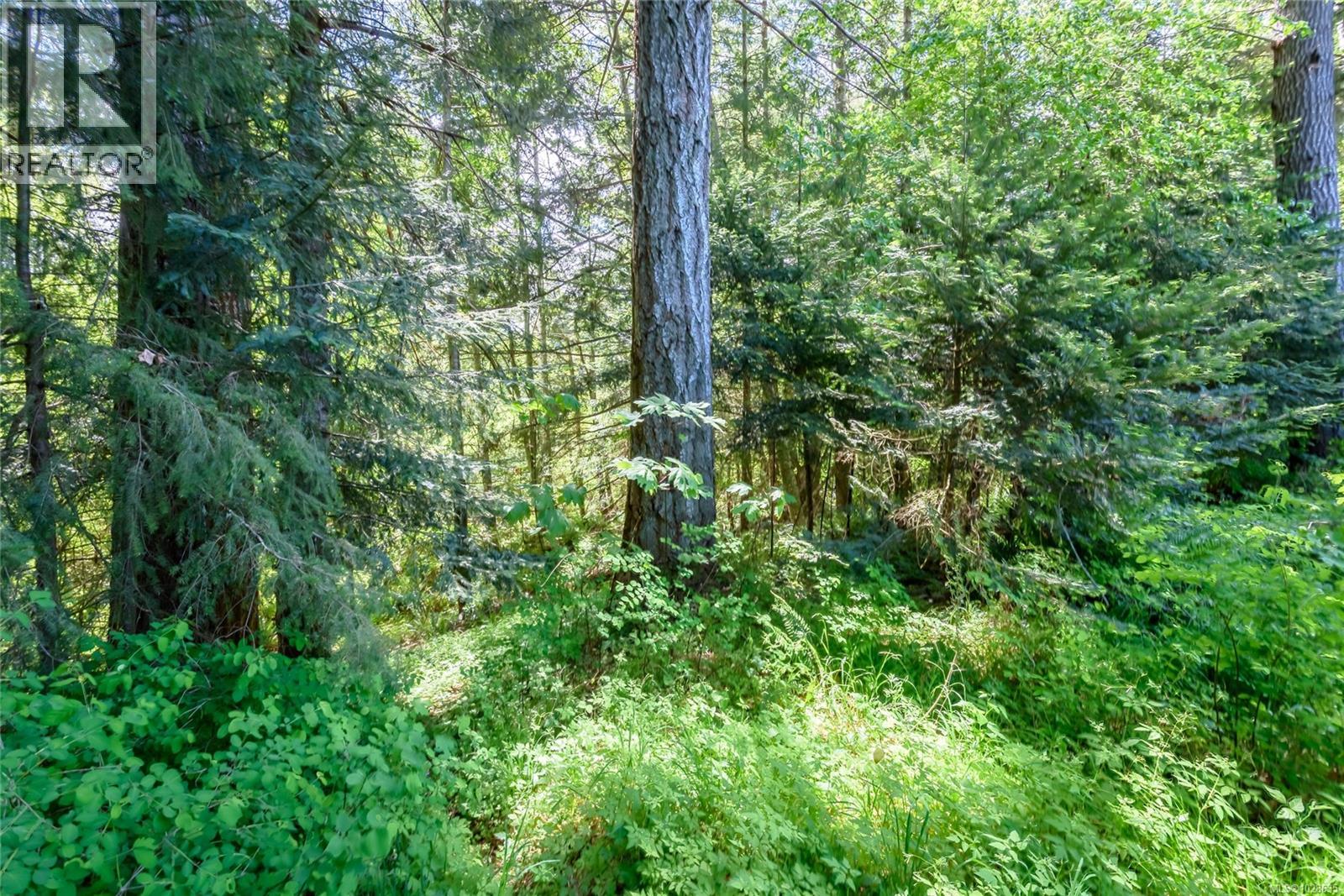 7478 Yake Rd, Fanny Bay, British Columbia  V0R 1W0 - Photo 6 - 1028635