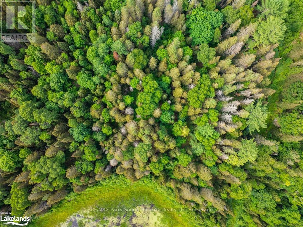 7281a Highway 124, Magnetawan, Ontario  P0G 1G0 - Photo 14 - X12873646