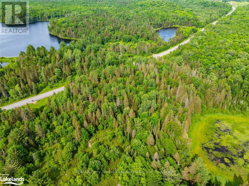 7281a Highway 124, Magnetawan, Ontario  P0G 1G0 - Photo 5 - X12873646