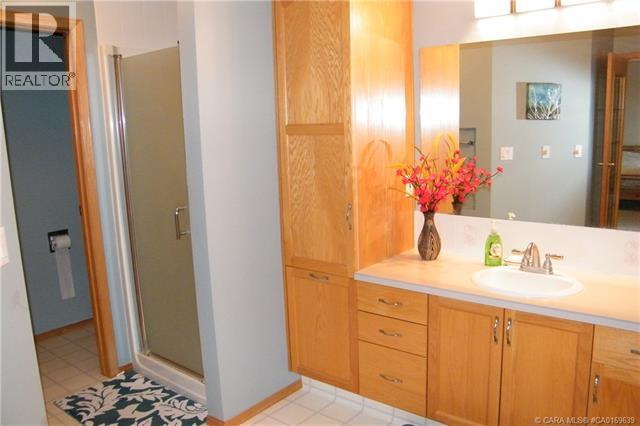 5606 46 Avenue W, Forestburg, Alberta  T0B 1N0 - Photo 21 - A2292434