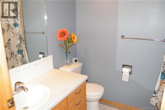 5606 46 Avenue W, Forestburg, Alberta  T0B 1N0 - Photo 25 - A2292434