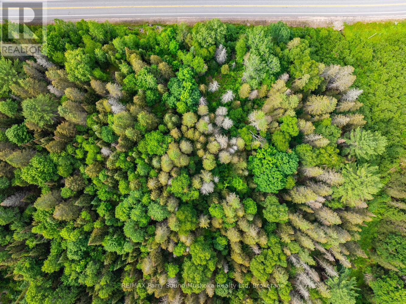 7281b Highway 124, Magnetawan, Ontario  P0G 1G0 - Photo 14 - X12873982