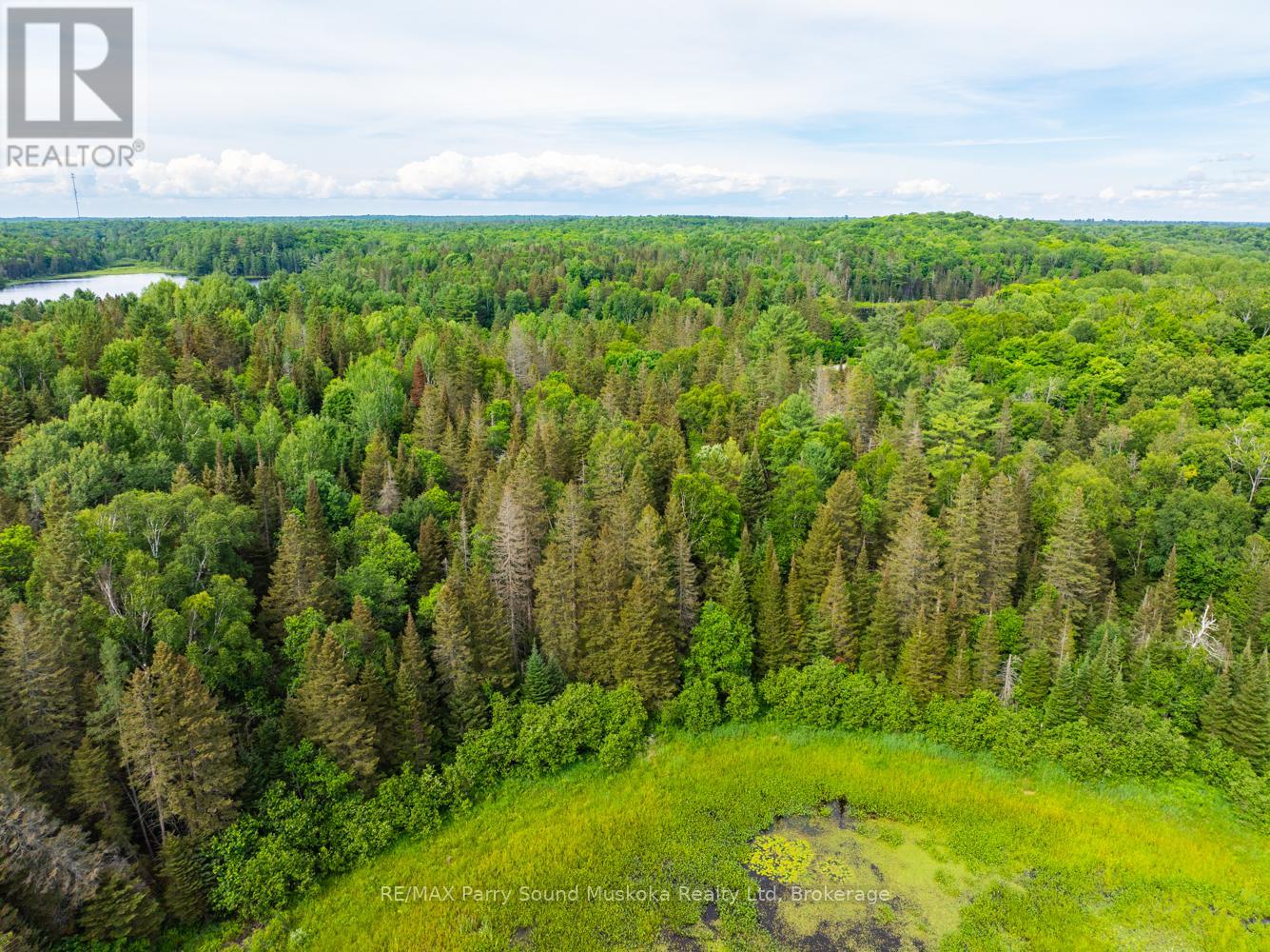 7281b Highway 124, Magnetawan, Ontario  P0G 1G0 - Photo 17 - X12873982