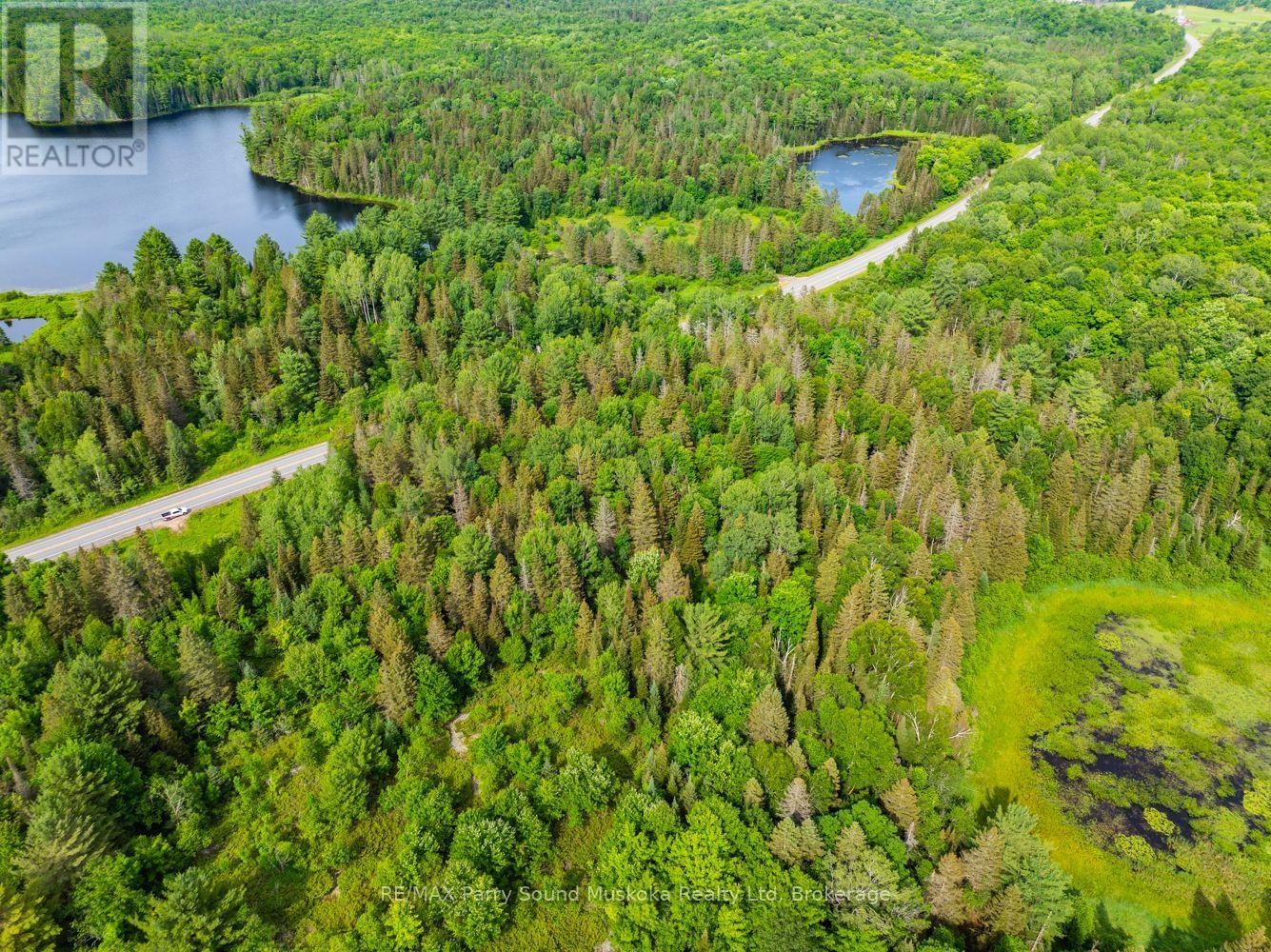 7281b Highway 124, Magnetawan, Ontario  P0G 1G0 - Photo 5 - X12873982