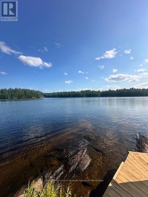 574b Laing Road, Parry Sound Remote Area, Ontario  P0H 1Y0 - Photo 33 - X12873990