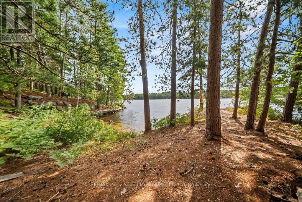 574b Laing Road, Parry Sound Remote Area, Ontario  P0H 1Y0 - Photo 35 - X12873990