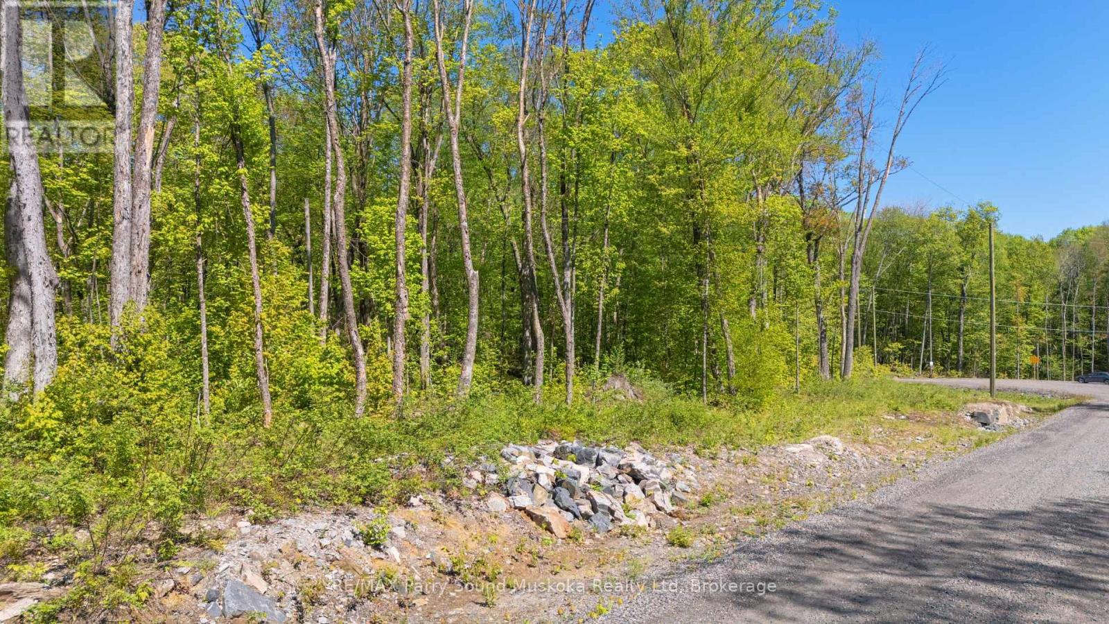 20 Zhaawashkwaa Miika Road, Seguin, Ontario  P2A 0B2 - Photo 15 - X12874004