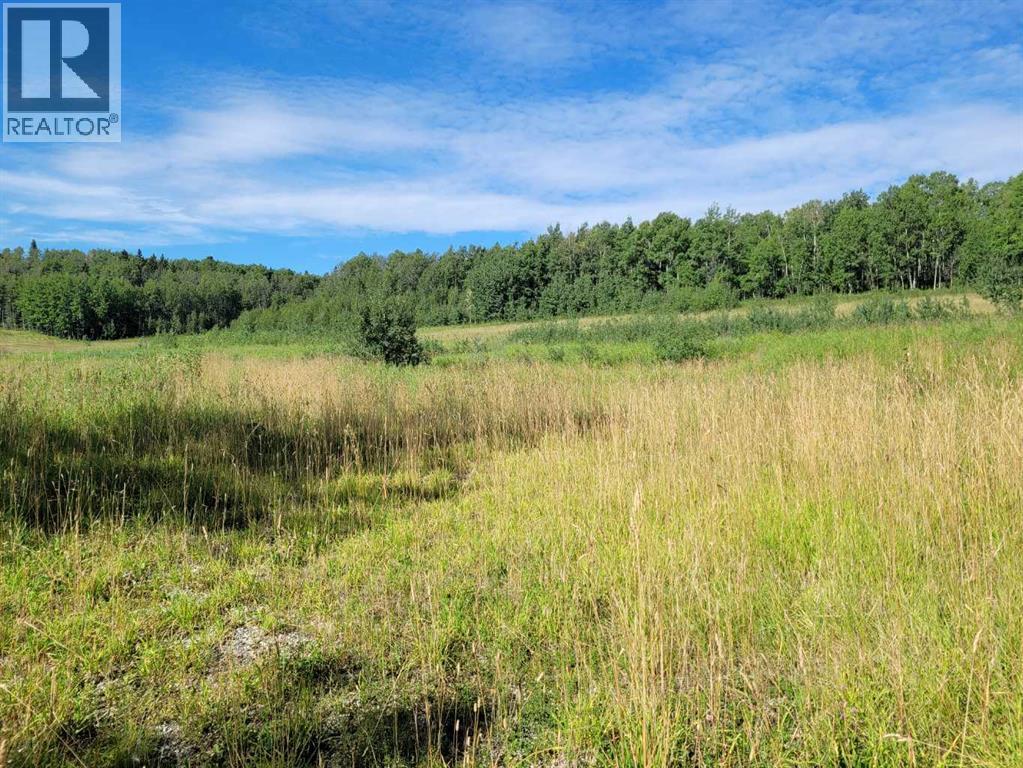 123 Centre Street N, Sundre, Alberta  T0M 1X0 - Photo 9 - A2254000