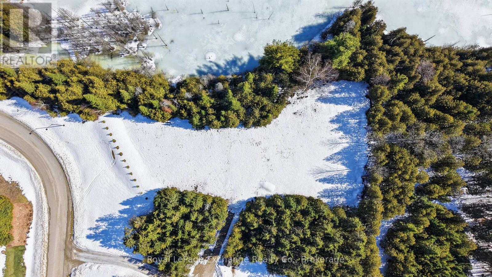 185 Louise Creek Crescent, West Grey, Ontario  N0G 1S0 - Photo 46 - X12874308