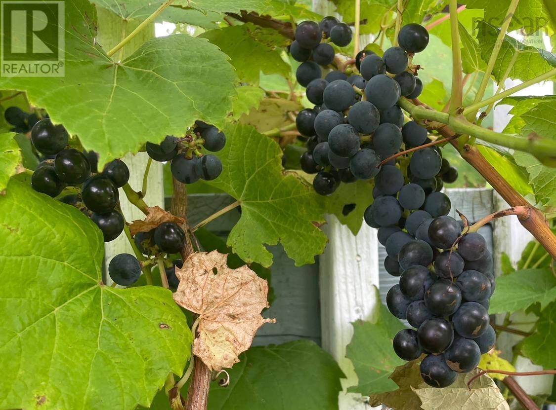 36 Seaview Drive, Gabarus Village, Nova Scotia  B1K 3T4 - Photo 46 - 202604284