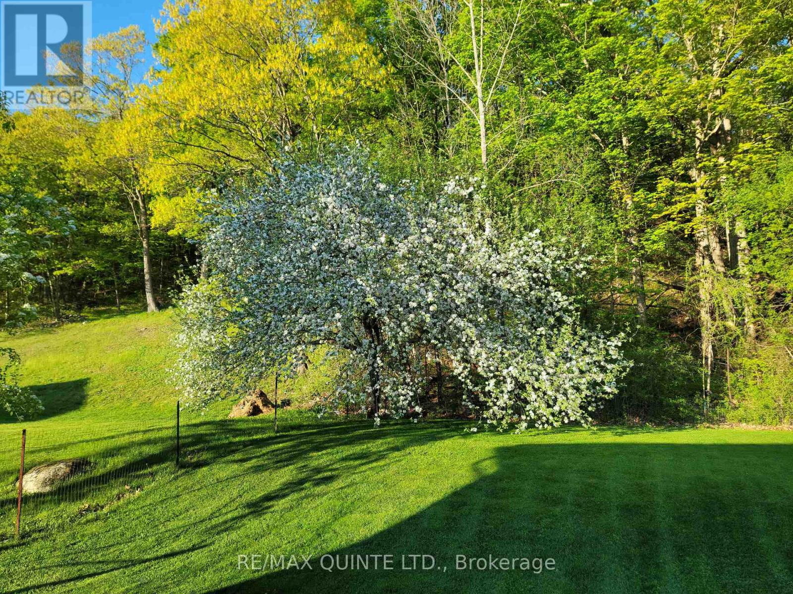 966 Glen Miller Road, Quinte West, Ontario  K8V 0B9 - Photo 38 - X12874336