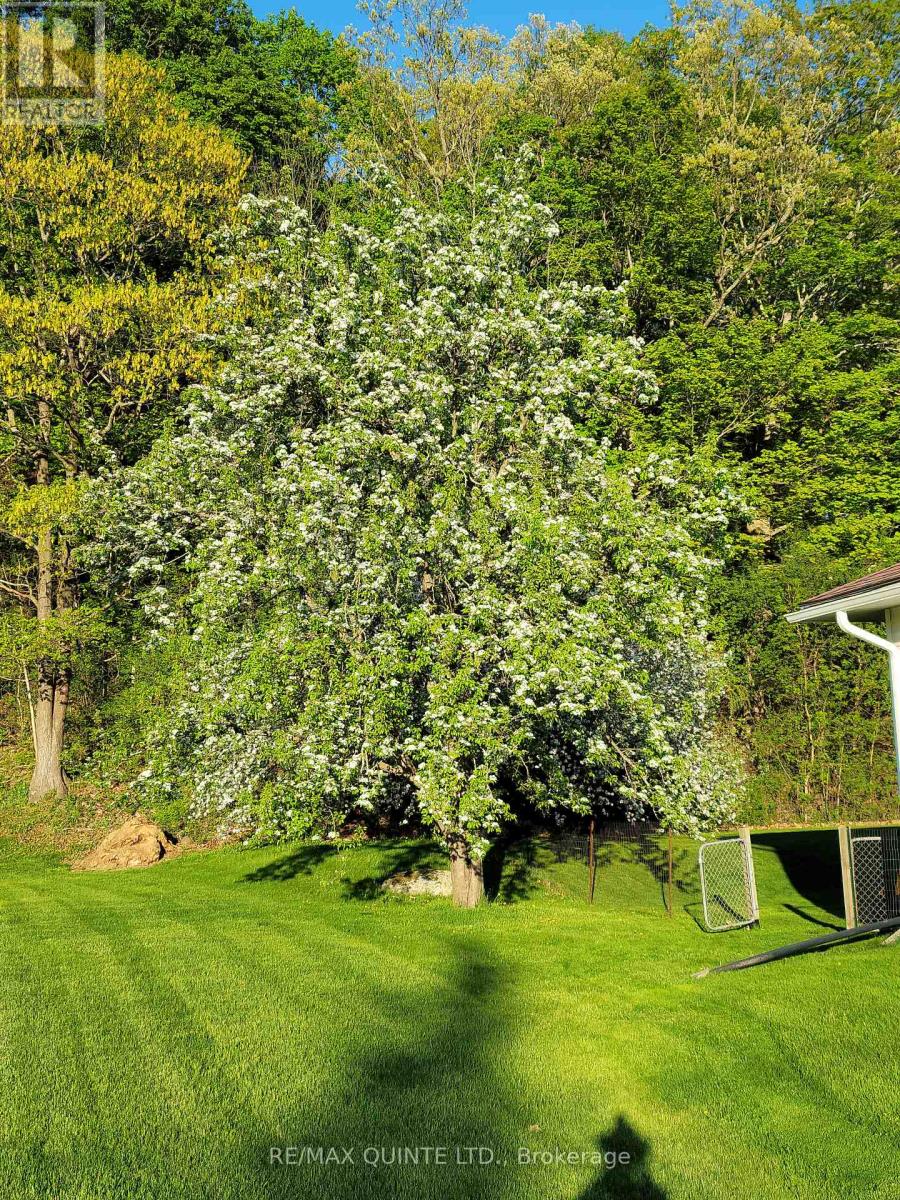 966 Glen Miller Road, Quinte West, Ontario  K8V 0B9 - Photo 39 - X12874336