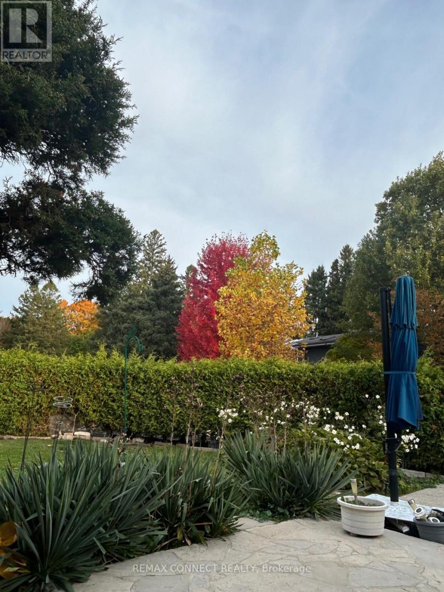 6 Ranson Place, London North, Ontario  N6G 1V6 - Photo 38 - X12874286