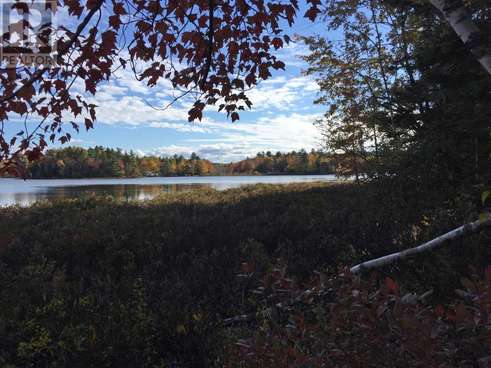 Lorem Ipsum Dolor, East Clifford, Nova Scotia  B4V  - Photo 5 - DEMO29460948