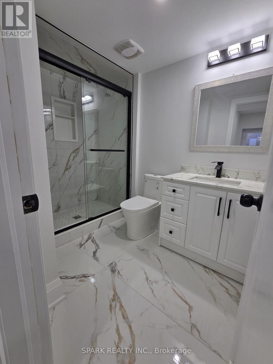 Basement - 1432 Yellow Rose Circle, Oakville, Ontario  L6M 5L2 - Photo 8 - W12874434