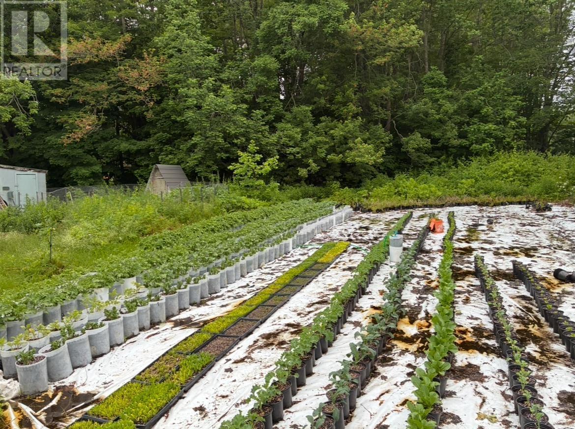 10101 Highway 221, Habitant, Nova Scotia B0P 1H0 - Photo 42 - 202604247