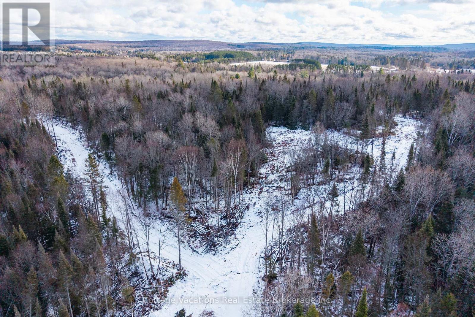 133 Berriedale Road, Armour, Ontario  P0A 1C0 - Photo 7 - X12874454