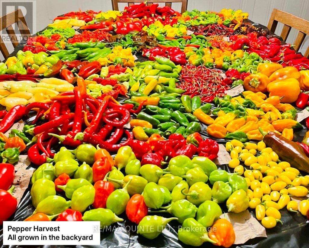 9 Wilkins Street, Belleville, Ontario  K8P 1P2 - Photo 31 - X12714634