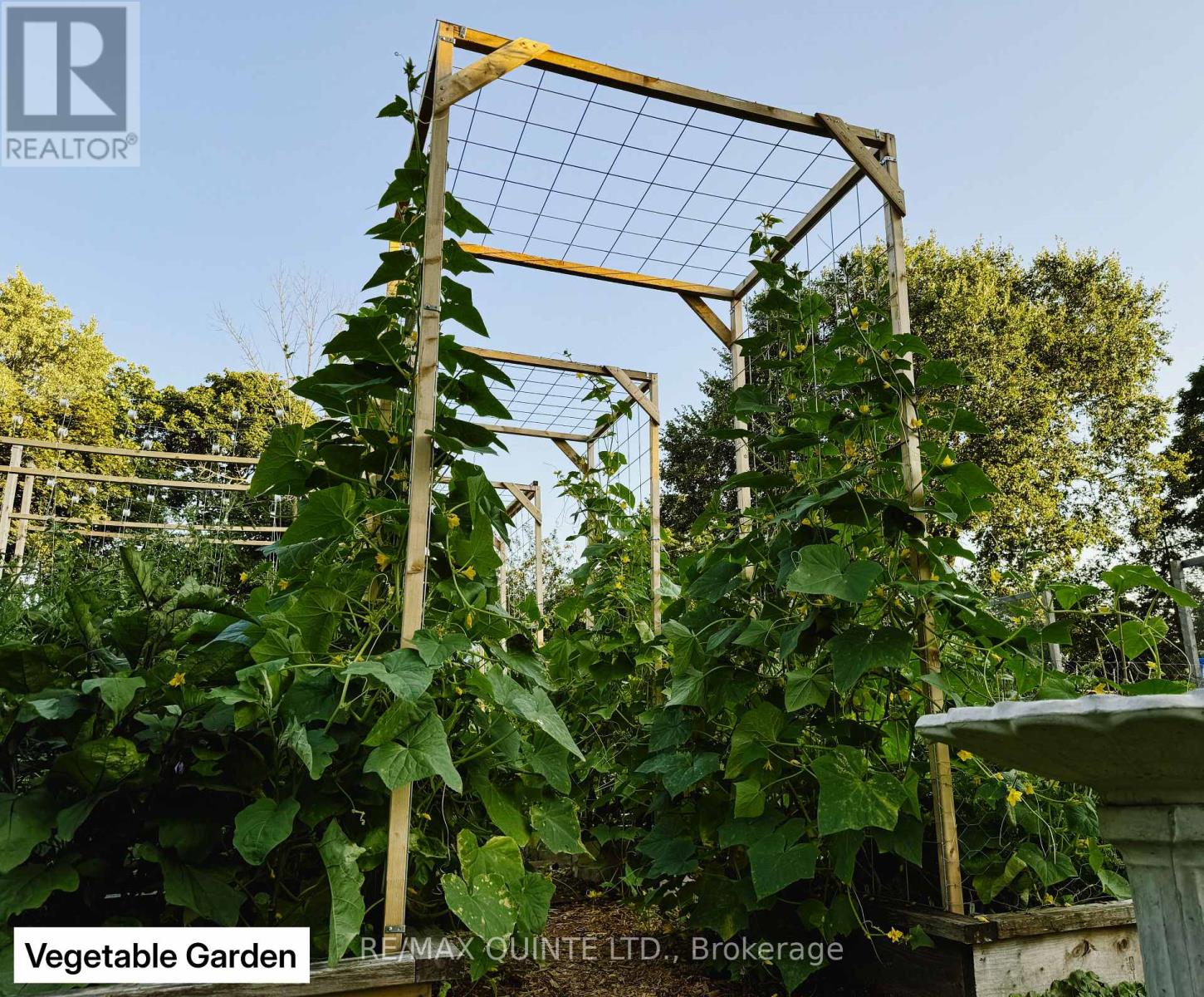 9 Wilkins Street, Belleville, Ontario  K8P 1P2 - Photo 26 - X12714634