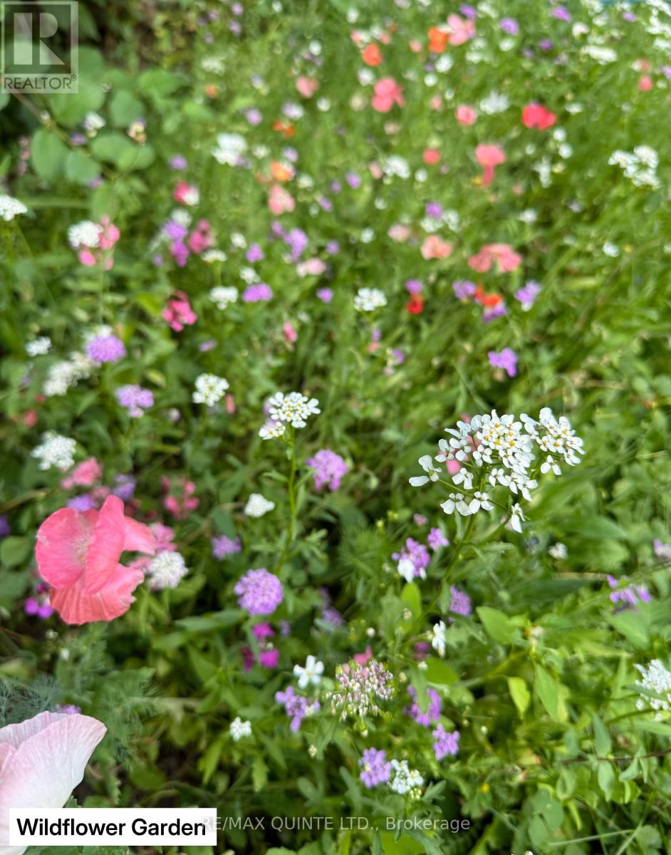 9 Wilkins Street, Belleville, Ontario  K8P 1P2 - Photo 34 - X12714634