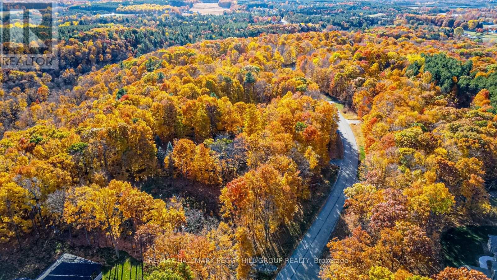 17 Maple Ridge Road, Oro-Medonte, Ontario  L0L 2L0 - Photo 2 - S12874728