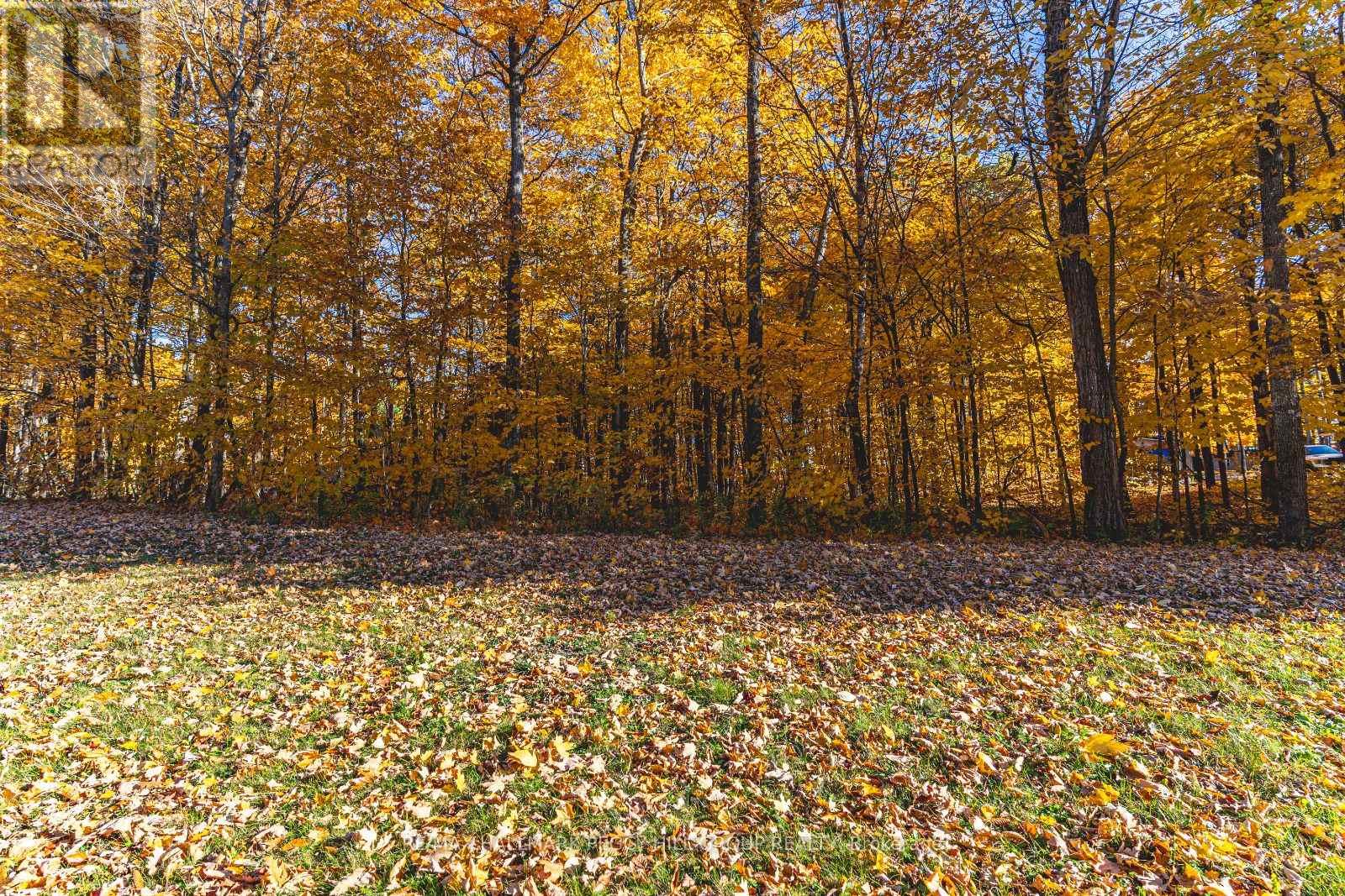 17 Maple Ridge Road, Oro-Medonte, Ontario  L0L 2L0 - Photo 3 - S12874728