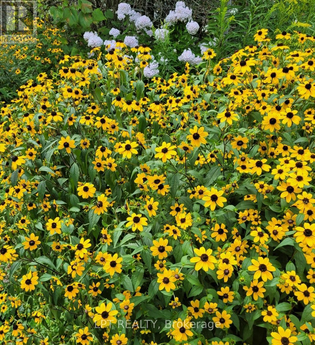 15142 Mount Pleasant Road, Caledon, Ontario  L7E 3M4 - Photo 38 - W12874618