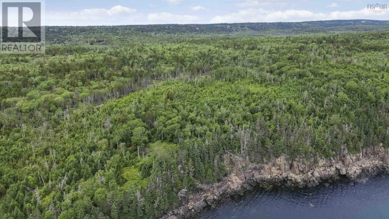 Highway 217, Central Grove, Nova Scotia  B0V 1G0 - Photo 7 - 202507658