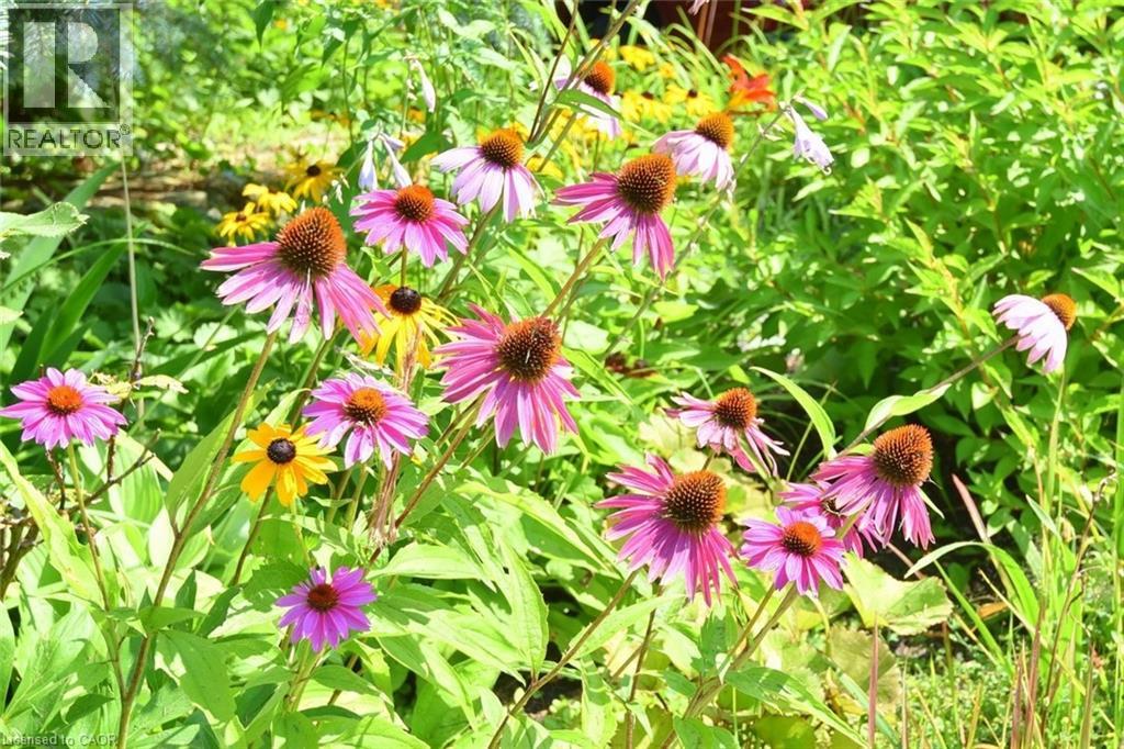 600 Silverbirch Boulevard Unit# 102, Hamilton, Ontario  L0R 1W0 - Photo 41 - 40779975